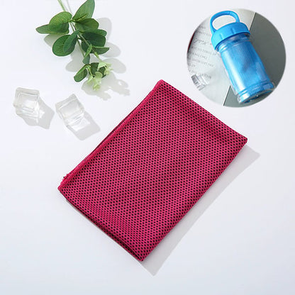 💝Buy 1 Get 1 Free🔥Absorbent Quick-Drying Gym Cooling Towels